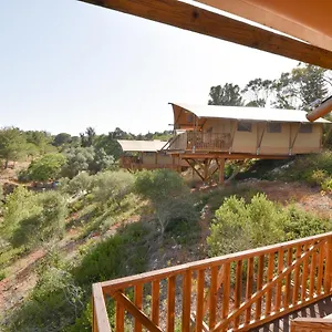  Campsite Eco Camp - Sustainable & Glamping